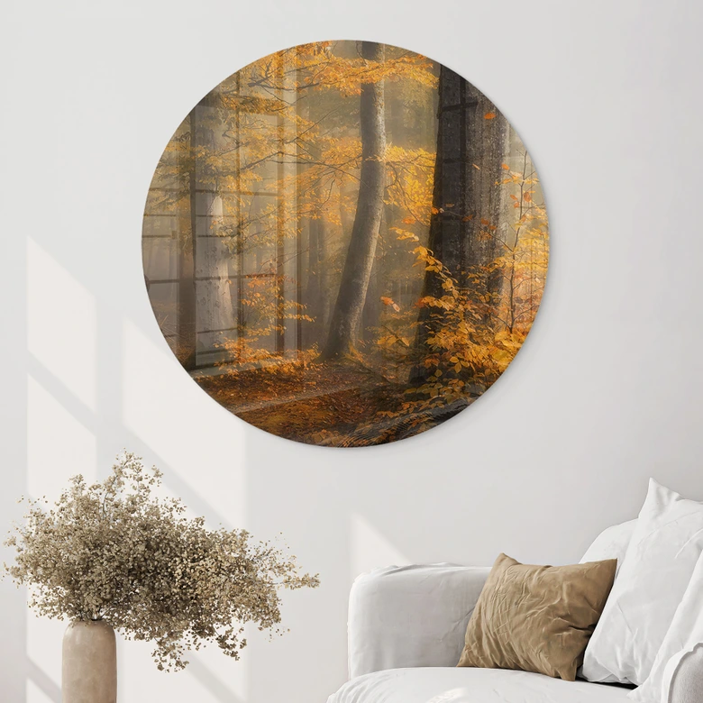Glasbild Goldene Blätter im nebligen Wald - Maier - Rund 
