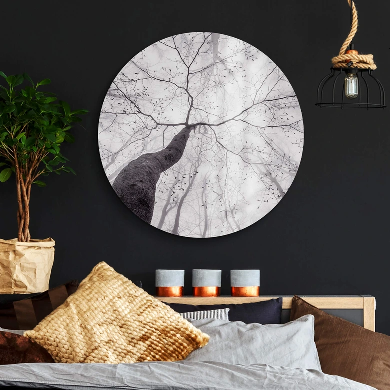 Glasbild Pavlasek - Ein Blick in die Baumkronen - Rund 
