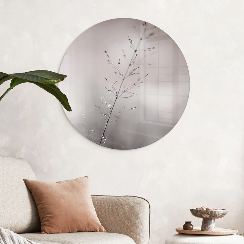Glasbild Grashalm mit Tautropfen - Sillen - Rund 