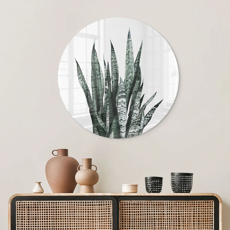 Tableau sur verre Plante - Sisi & Seb 