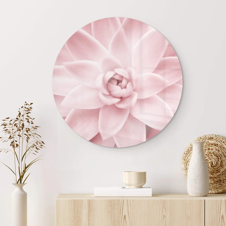 Glasbild Sisi & Seb - Rosa Sukkulente - Rund 