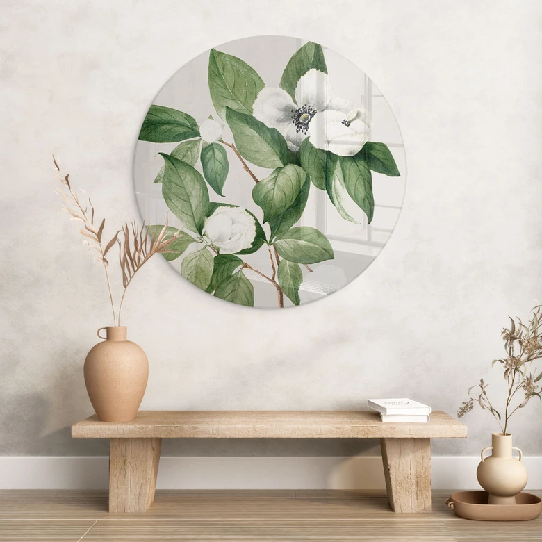 Glasbild Botanik Illustration einer Scheinkamelie - Walcott - Rund 