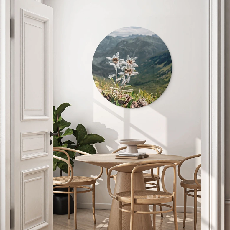 Glasbild Weißer Alpen-Edelweiß auf dem Berg - Rund 