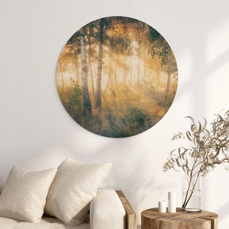 Holzbild Sonnenschein im Birkenwald - Kado - Rund 