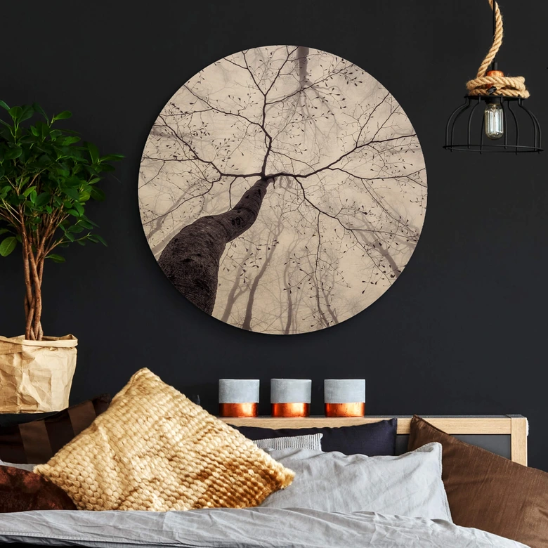 Holzbild Pavlasek - Ein Blick in die Baumkronen - Rund 