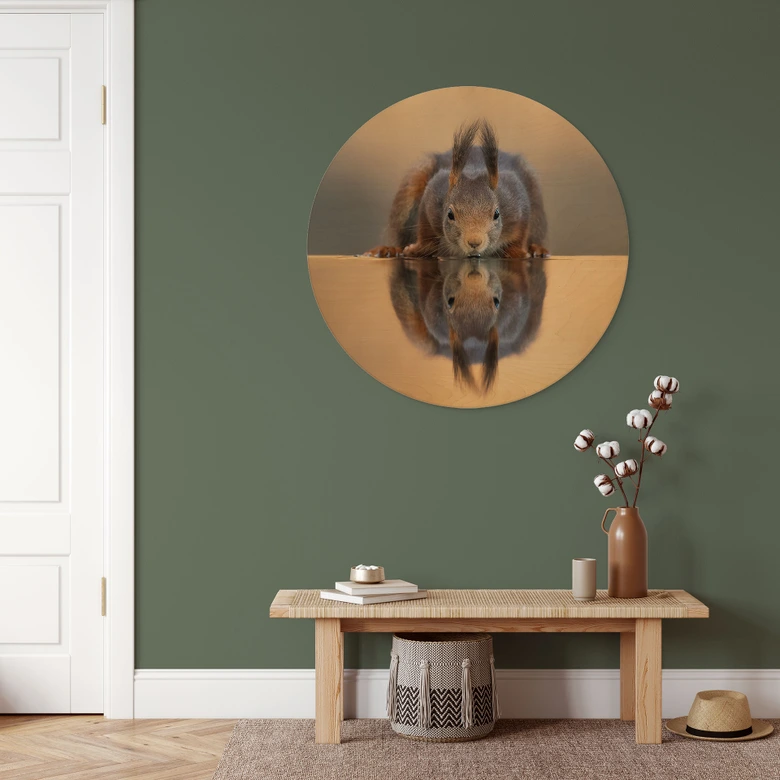 Stampa su legno di scoiattolo vicino all'acqua - van Duijn - Tondo  
