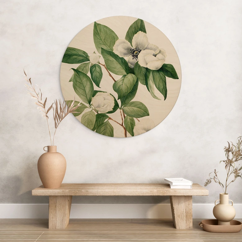 Holzbild Botanik Illustration einer Scheinkamelie - Walcott - Rund 