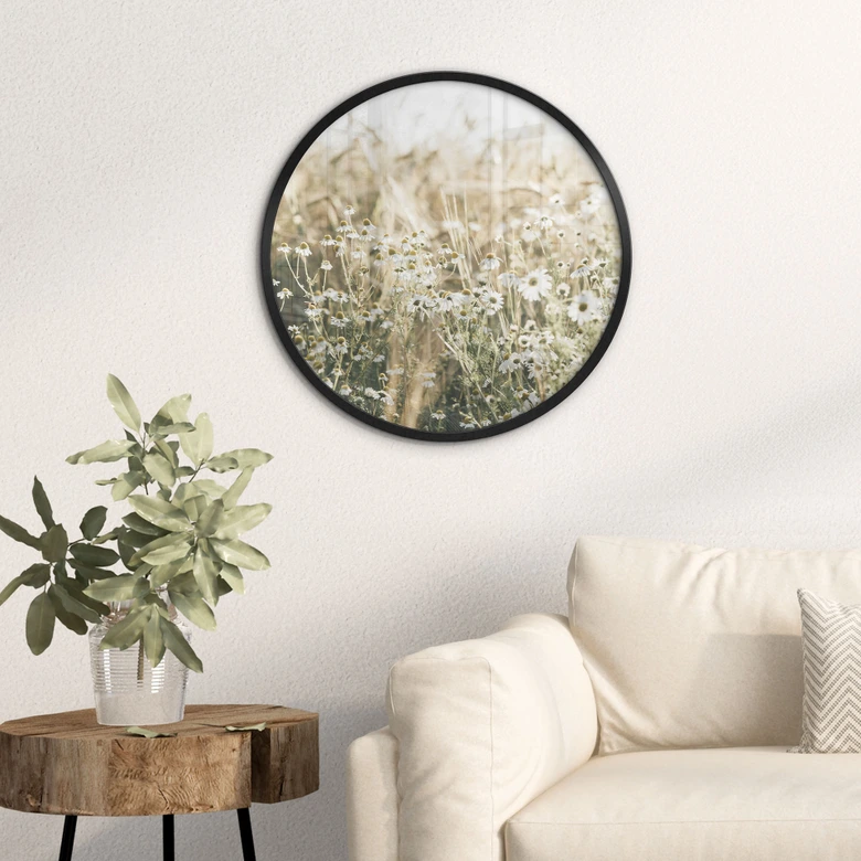 Poster Sommerwiese mit Kamille - Annie - Rund 