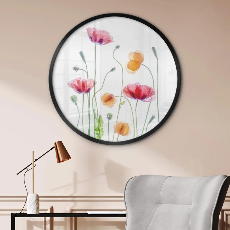 Poster Bunte Mohnblumen Rund - Disher 