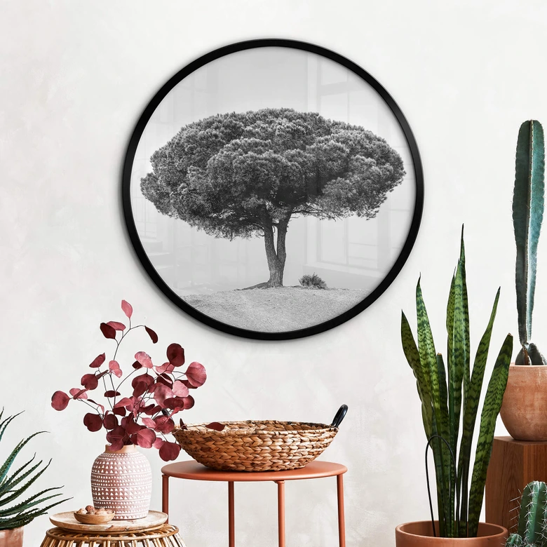 Plakat Martin - Drzewo w czerni i bieli - Okrągły 