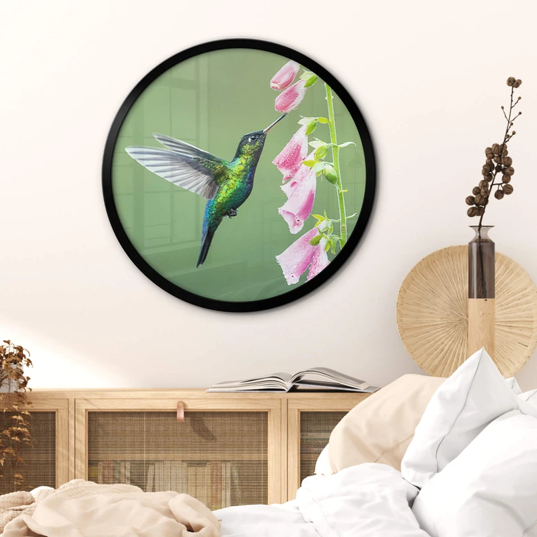 Plakat van Duijn - Koliber w magii różowych kwiatów - Okrągły 