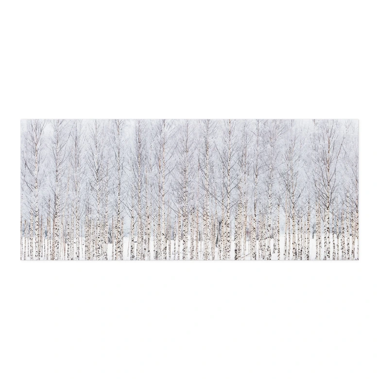 Selbstklebende Küchenrückwand Birkenwald im Winter - EMELIEmaria 