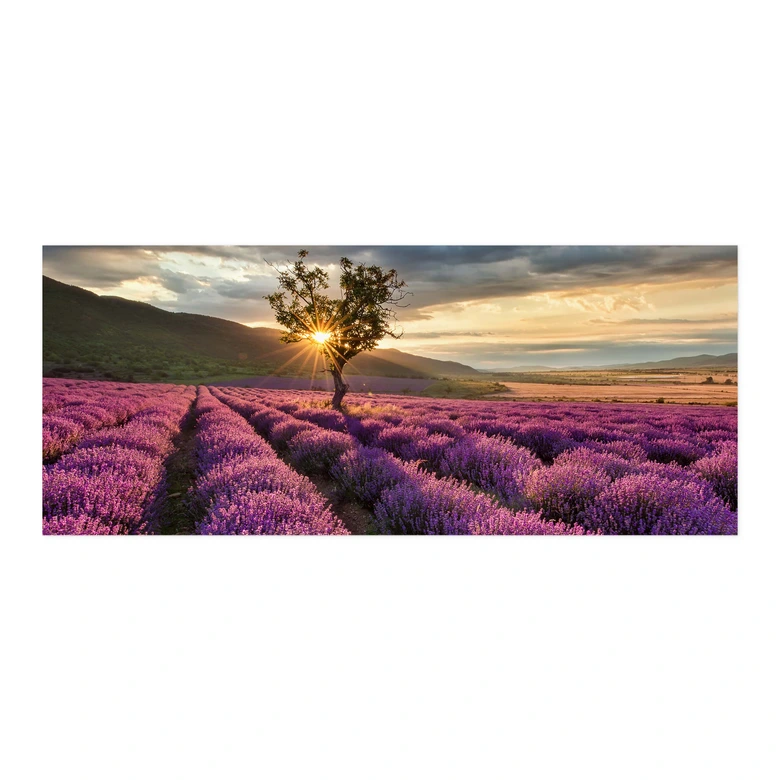 Zelfklevende Keukenachterwand Lavendel in de Provence 