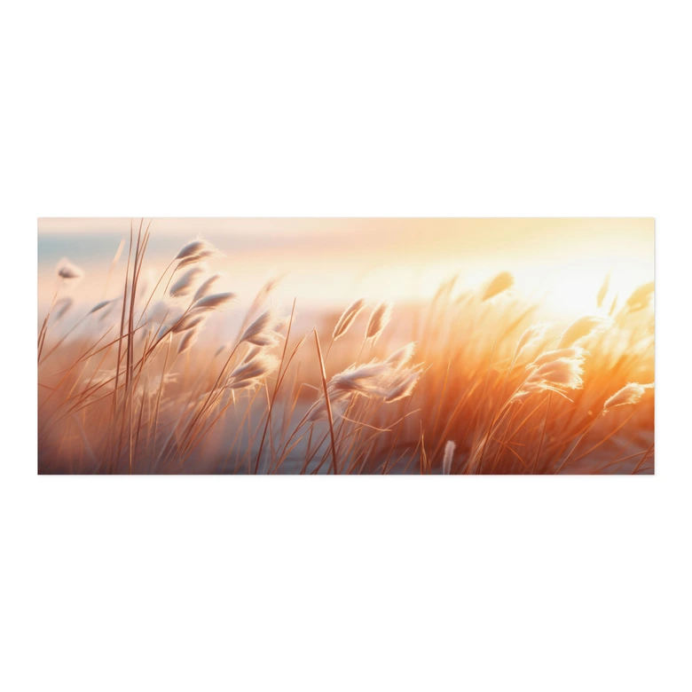 Self-adhesive kitchen splashback Dune grass in the evening sun - Treechild 