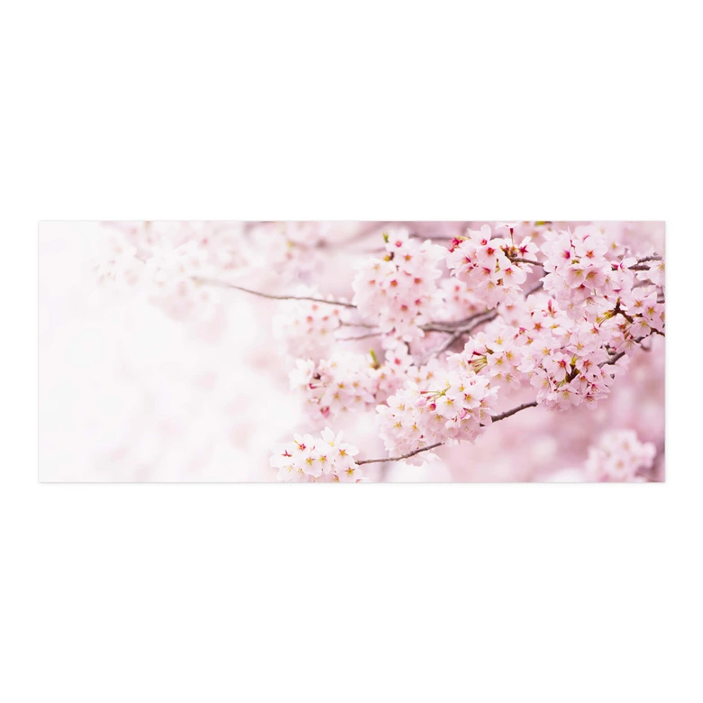 Självhäftande stänkpanel Delikata körsbärsblommor 