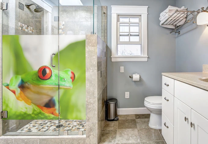 Film o prywatności wyskakująca żaba 