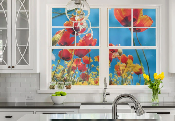 Intimidad película amapolas en un campo de colza - cuadrado 