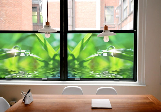 Window foil Nature 06 