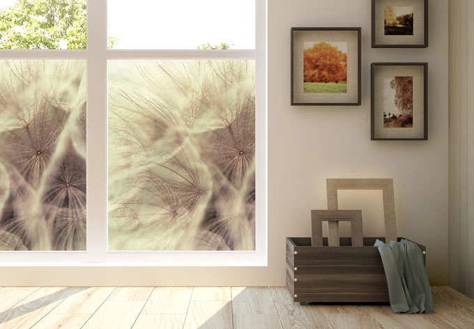 Window foil Dandelion Close Up 