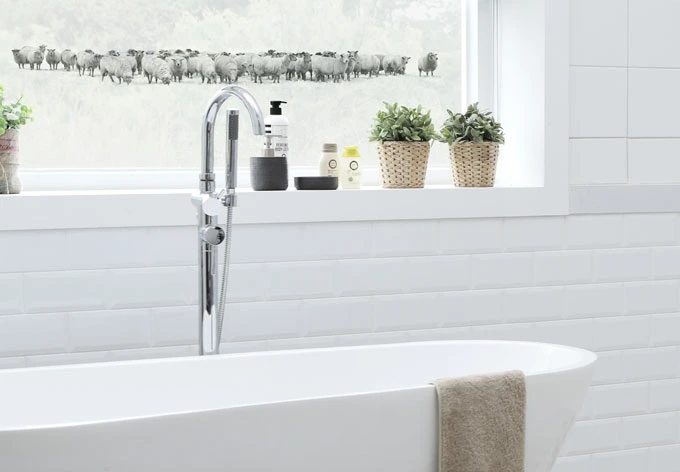 Rebaño de ovejas - Panorama 