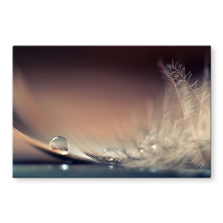Spritzschutz Story of a Waterdrop | Pure Schönheit einer Feder - Dmitry 