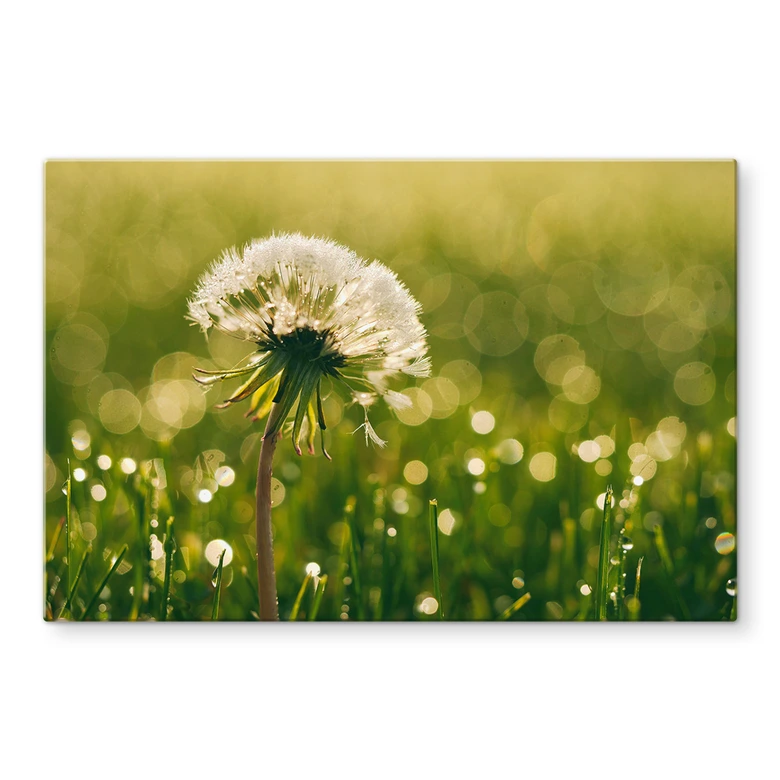Spatscherm – After Rain 