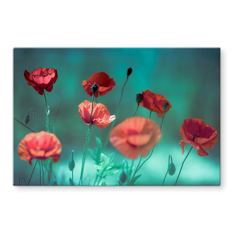 Spritzschutz Delgado - Mohn Aquamarin 