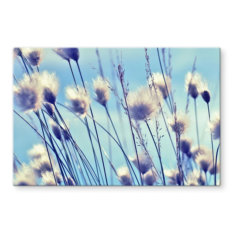 Pannello paraschizzi Delgado - Vento nell'erba 