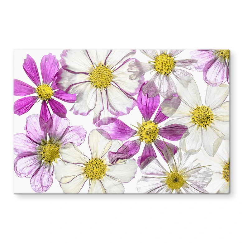 Spritzschutz Disher - Keeping Summer 