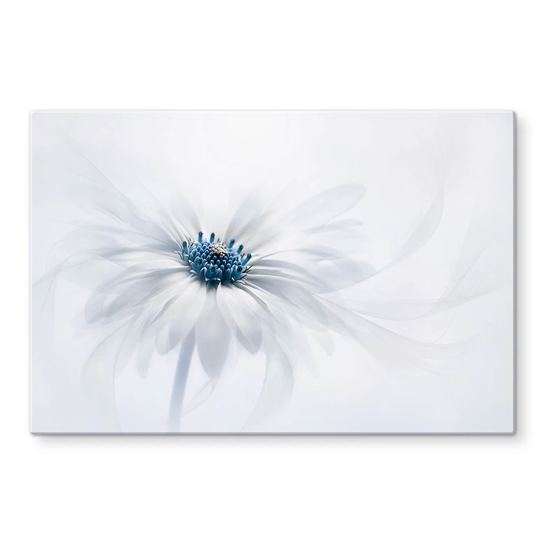 Spritzschutz Parker - Frozen Flower 