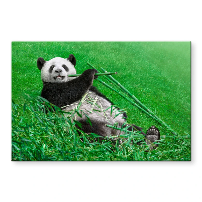Spritzschutz Ben Heine - Glücklicher Panda 