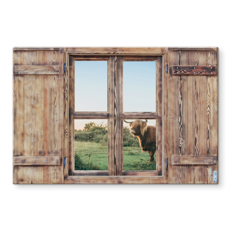 Spritzschutz 3D Holzfenster - Highland Cow 01 