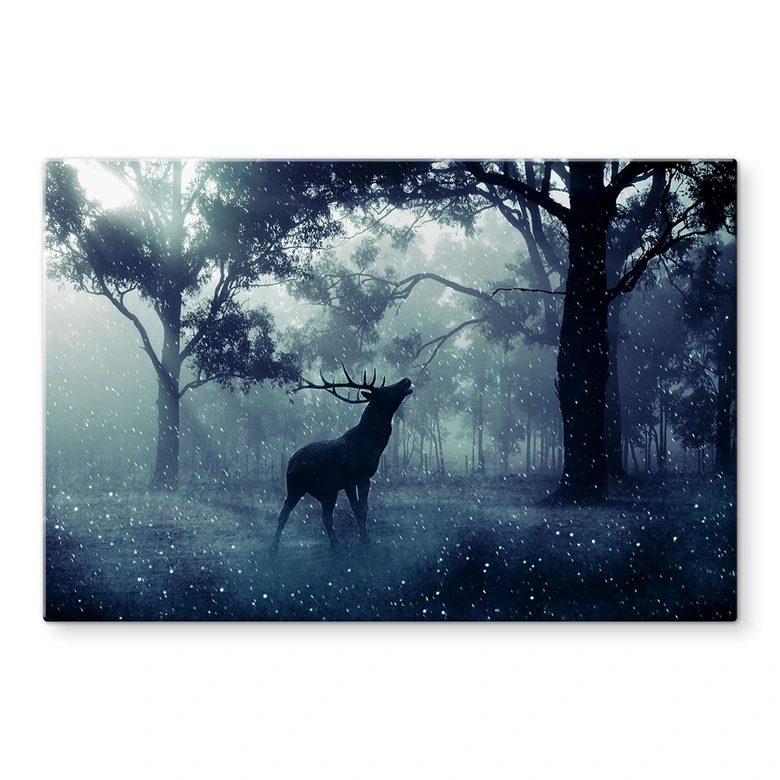 Spritzschutz Hirsch im Morgenwald 