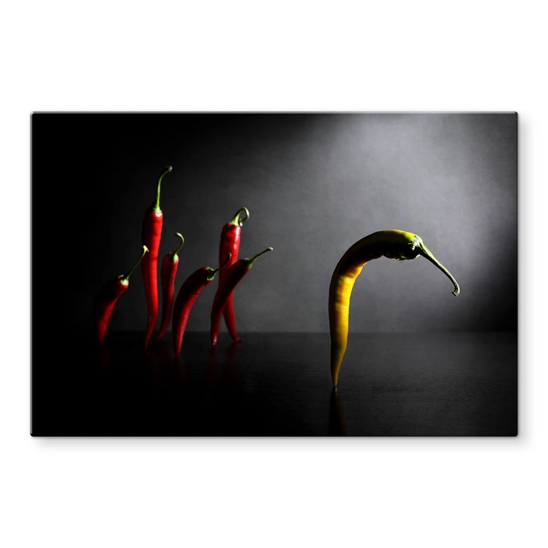 Spritzschutz Ivanova - Hit the road, Chilipepper 