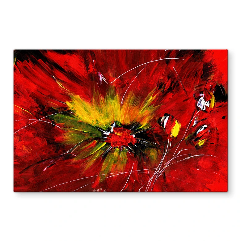 Spritzschutz Niksic - Passionata 