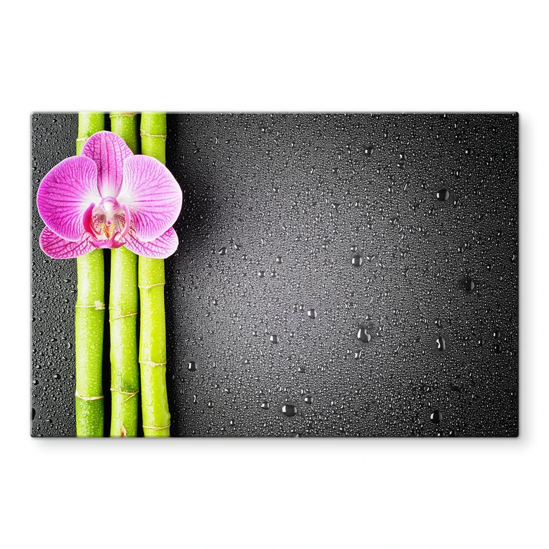 Spritzschutz Orchid and Bamboo 