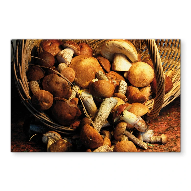 Spritzschutz Pilzkorb 