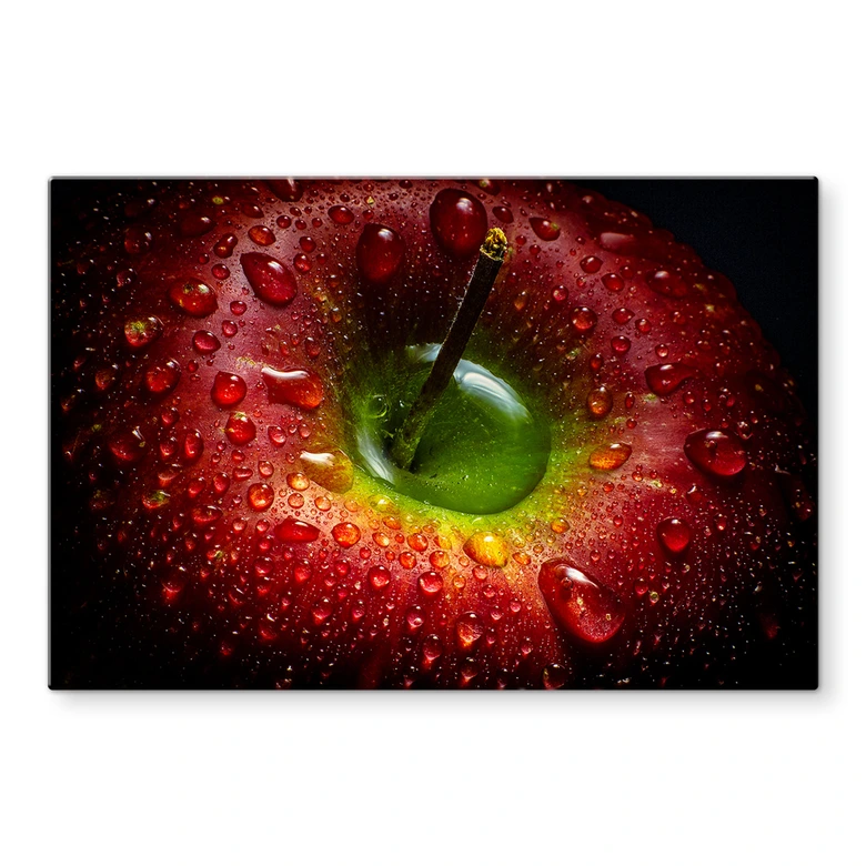 Spritzschutz Ianeva - Roter Apfel 