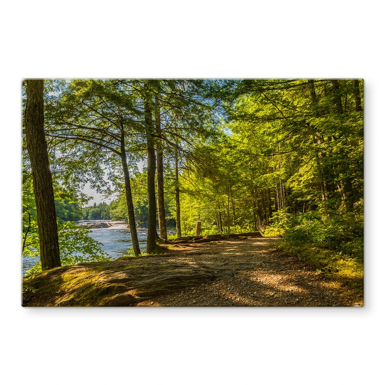 Spritzschutz Waldweg am Fluss 