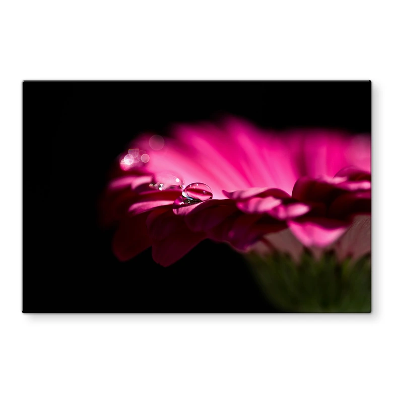 Spritzschutz Waterdrop of Life 