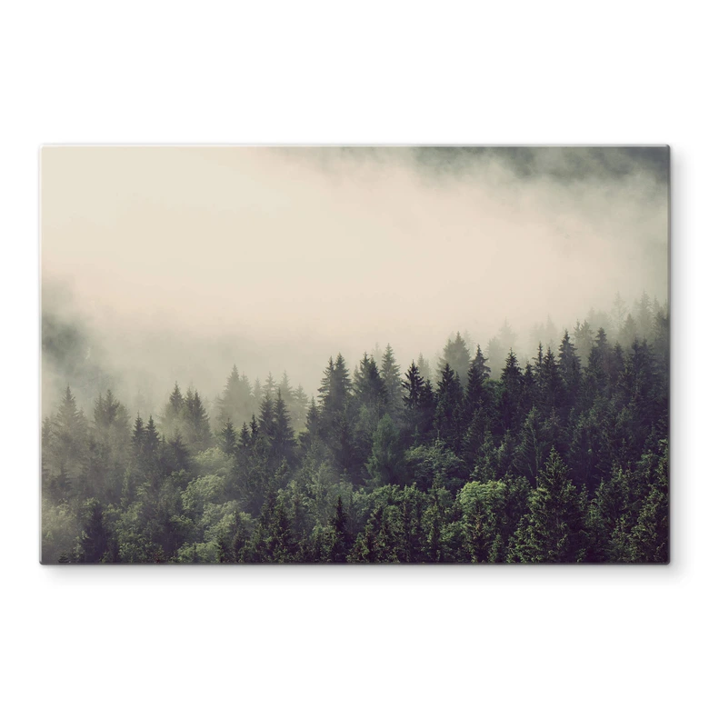 Spritzschutz Nebel im Wald 02 
