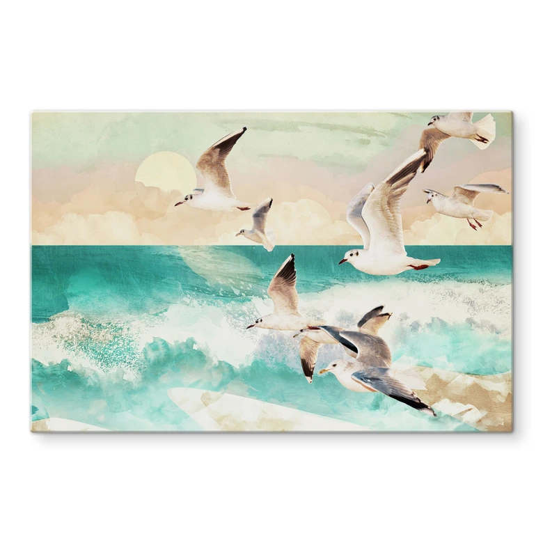Spatscherm Zeemeeuwen op het strand - SpaceFrog Designs 