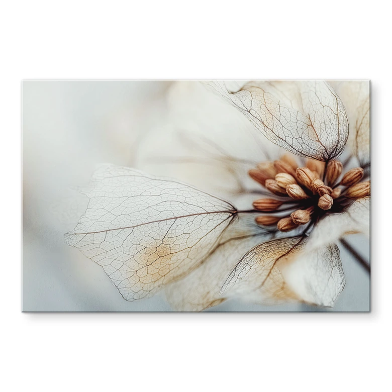 Spritzschutz Blütenstruktur einer Trockenblume - Treechild 