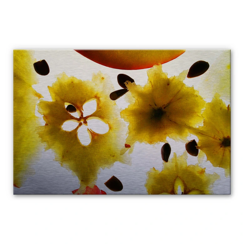 Spritzschutz Abstract Fruits 
