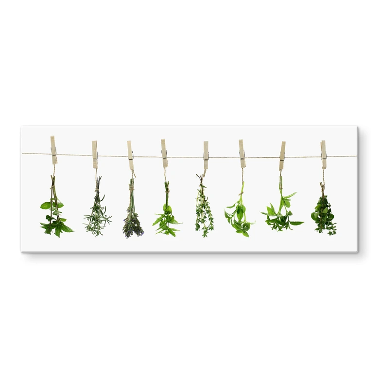 Spritzschutz Kräuter - Panorama 