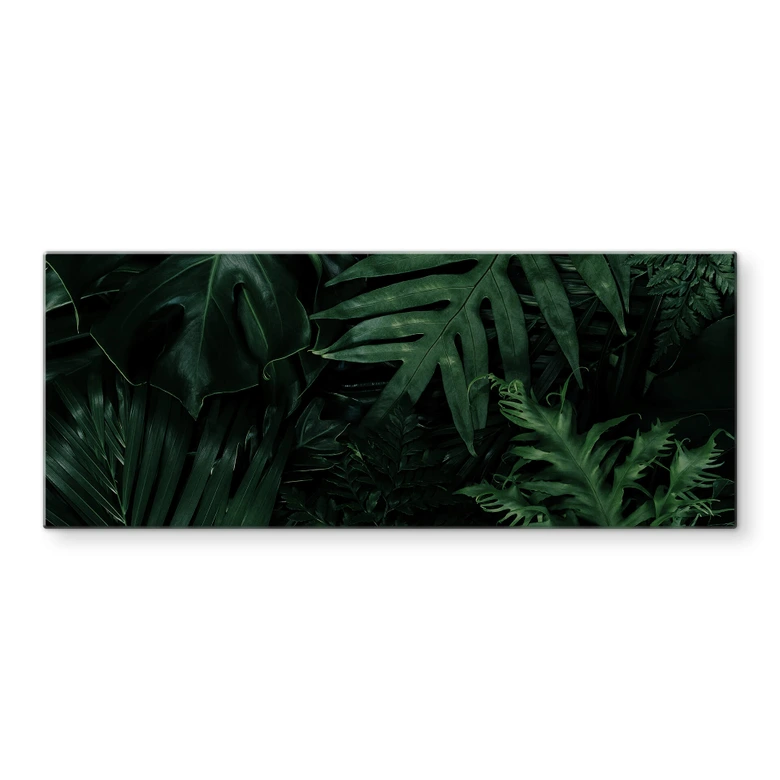 Crédence Jungle vert foncé - Panorama 