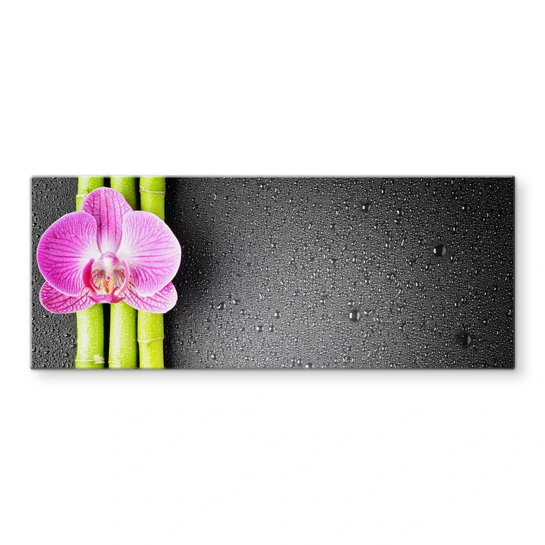 Crédence - Orchid and Bamboo - Panorama (horizontal) 