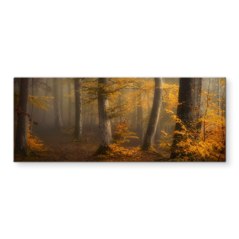 Spritzschutz Goldene Blätter im nebligen Wald - Maier - Panorama 