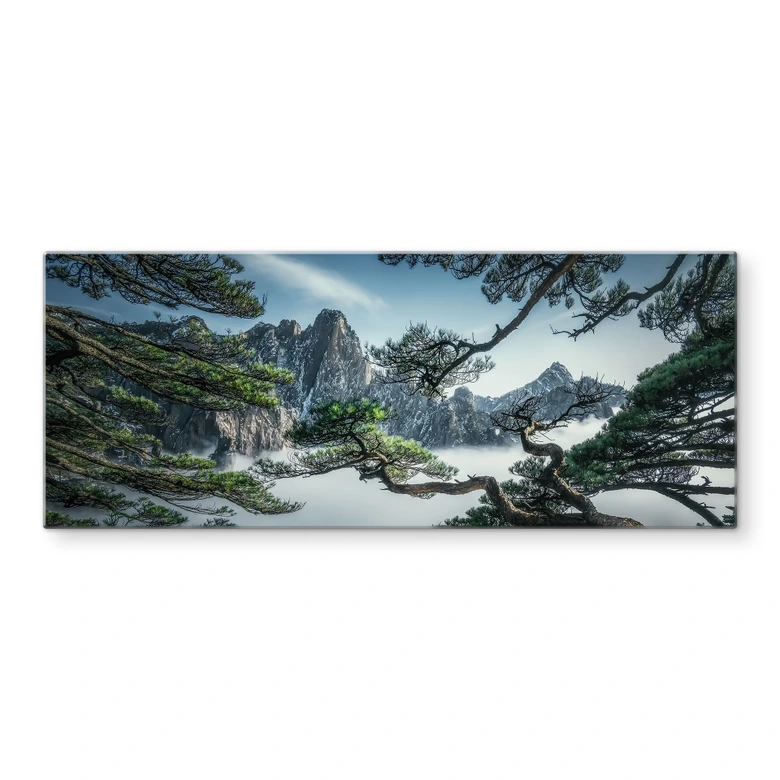 Spritzschutz Kiefernwald im Huang Shan Gebirge - NingYun Ye - Panorama 