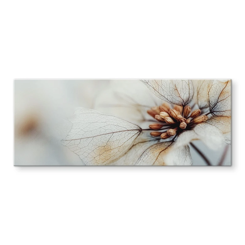 Spritzschutz Blütenstruktur einer Trockenblume - Treechild - Panorama 
